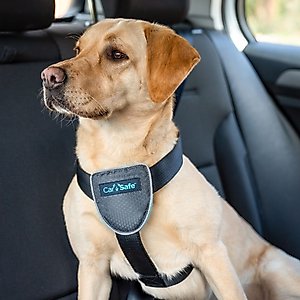 CarSafe Travel Dog Harness, Blue, Large