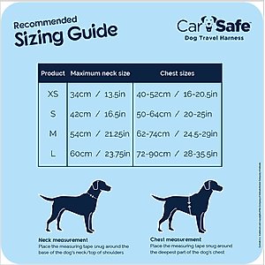 CarSafe Travel Dog Harness, Blue, Large