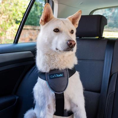 Show full view: CarSafe Travel Dog Harness, Blue, Medium slide 4 of 6