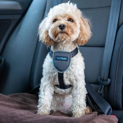 Show full view: CarSafe Travel Dog Harness, Blue, X-Small slide 4 of 6