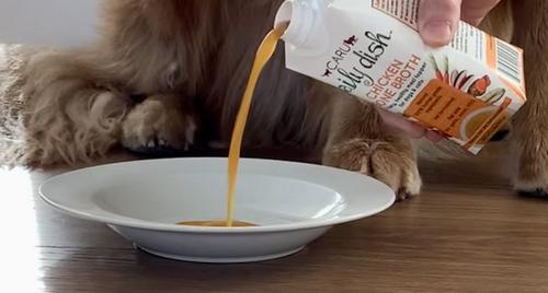 Show full view: Caru Daily Dish Beef Broth Human-Grade Dog & Cat Wet Food Topper, 1.1-lb bottle slide 7 of 10