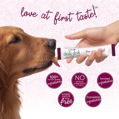 Show full view: Caru Daily Dish Smoothies Chicken Flavored Lickable Dog Treats, 0.5-oz tube, 4 count slide 4 of 7