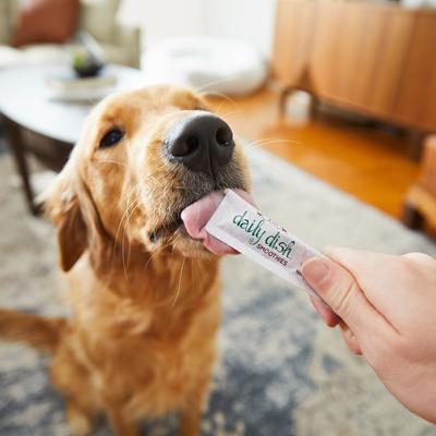 Show full view: Caru Daily Dish Smoothies Peanut Butter Flavored Lickable Dog Treats, 0.5-oz tube, 4 count slide 5 of 8