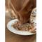 Show in main carousel: Caru Real Chicken Stew Grain-Free Wet Dog Food, 12-oz, case of 12 slide 4 of 9
