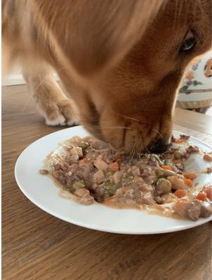 Show full view: Caru Real Chicken Stew Grain-Free Wet Dog Food, 12-oz, case of 12 slide 4 of 9