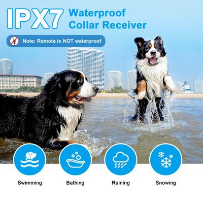 Show full view: Casfuy 1000-ft Remote Rechargeable Waterproof Electric Dog Training Collar, Black, 2 count slide 5 of 9