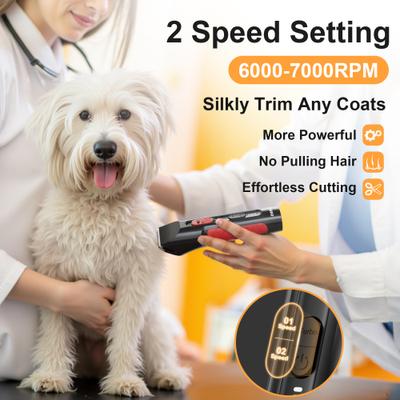 Show full view: Casfuy 2-Speed Cordless Dog, Cat, & Small Pet Hair Grooming Clipper Kit, Black slide 3 of 7