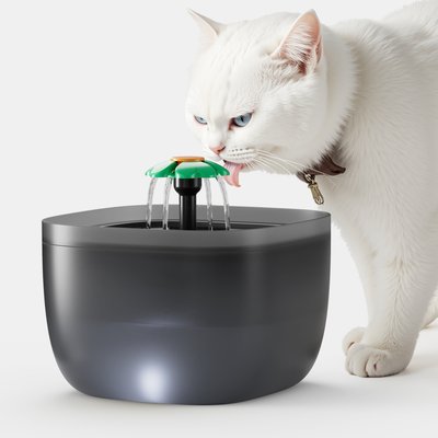 Casfuy Casfuy W7 Multi-directional Streams Quiet Automatic Dog & Cat Water Fountain, 70-oz, Black