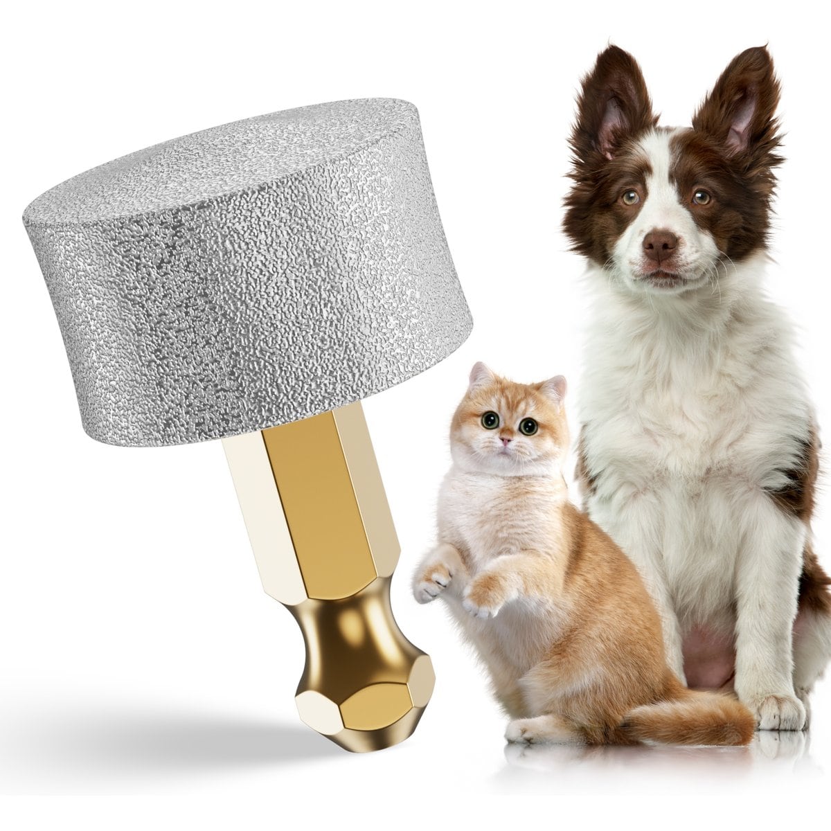 Casfuy Dog Nail Grinder Replacement Head