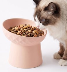 Casfuy 15° Tilted Ergonomic Whisker-Friendly Elevated Ceramic Cat Bowl, Pink