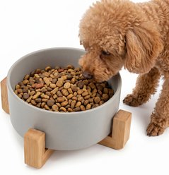Casfuy Non-Skid Elevated Ceramic Dog Bowl with Bamboo Stand, 3.6-cup