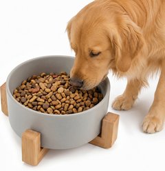Casfuy Non-Skid Elevated Ceramic Dog Bowl with Bamboo Stand, 7.6-cup