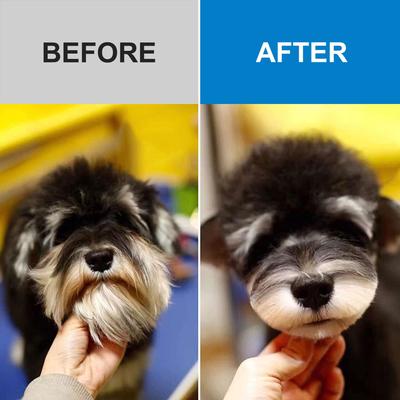 Show full view: Casfuy Removable Blade Dog & Cat Hair Grooming Clippers, White slide 6 of 8