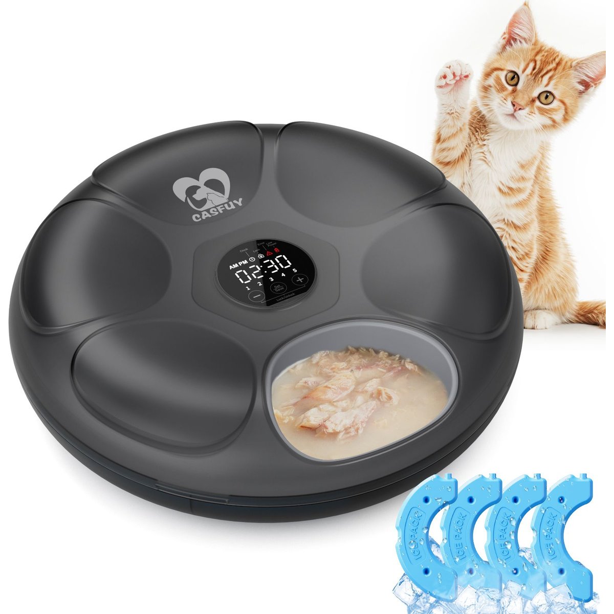 Casfuy F13 Smart 6-Meal Automatic Dog & Cat Wet Food Feeder with 4 Ice Packs, Black