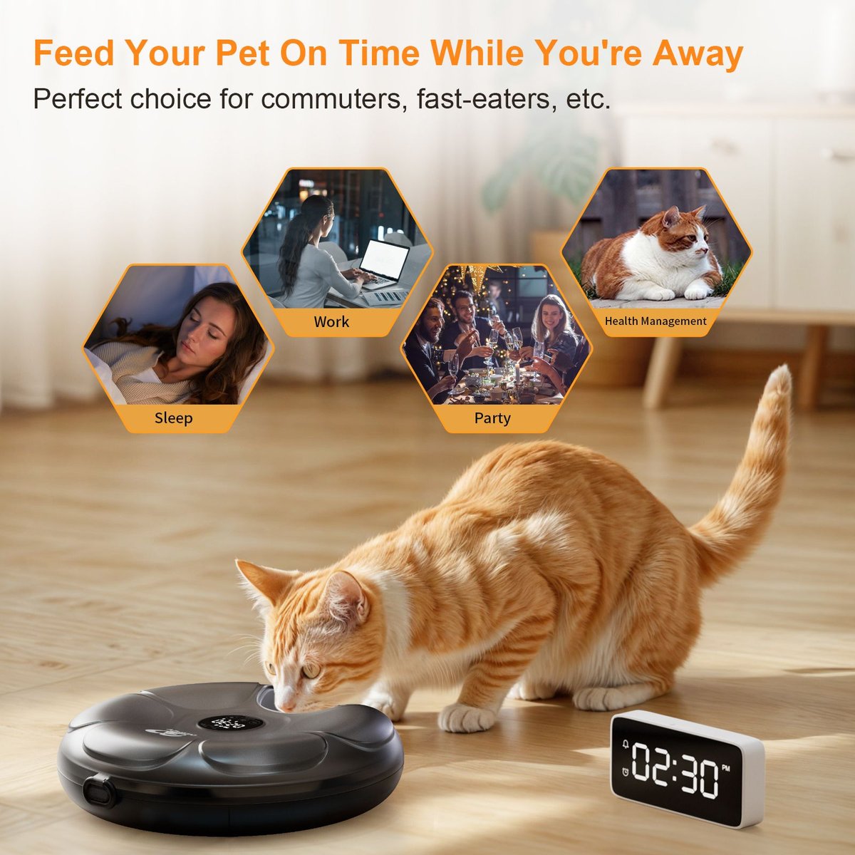 Casfuy F13 Smart 6-Meal Automatic Dog & Cat Wet Food Feeder with 4 Ice Packs, Black