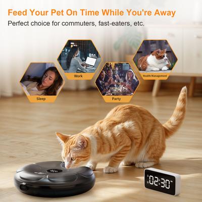 Show full view: Casfuy Smart 6-Meal Automatic Dog & Cat Wet Food Feeder with 4 Ice Packs, Black slide 2 of 8