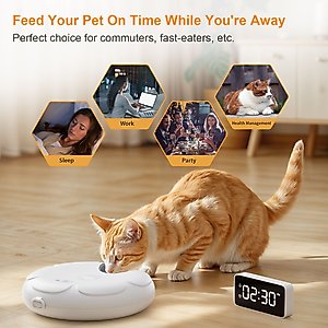 Casfuy Smart 6-Meal Automatic Dog & Cat Wet Food Feeder with 4 Ice Packs, White