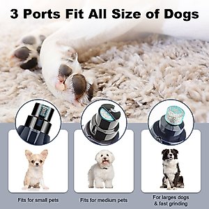 Casfuy Upgraded Quiet 6 Speed Electric Dog & Cat Nail Grinder with 2 LED Lights, Blue