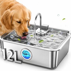 Casfuy ZT-50 Large Stainless Steel with Dry Burn Protection Pump Dog Water Fountain, 3.2-gal