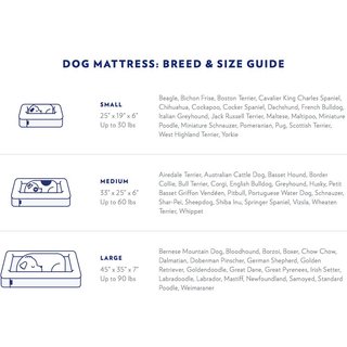 Casper Bolster Dog Bed, Blue, Medium slide 2 of 8