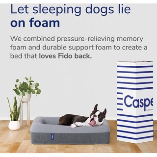 Casper Bolster Dog Bed, Blue, Medium slide 7 of 8