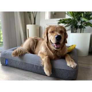 Casper Bolster Dog Bed, Blue, Medium slide 8 of 8