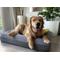 Show in main carousel: Casper Bolster Dog Bed, Gray, Large slide 8 of 10