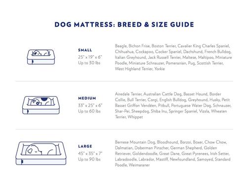 Show full view: Casper Bolster Dog Bed, Sand, Medium slide 2 of 10