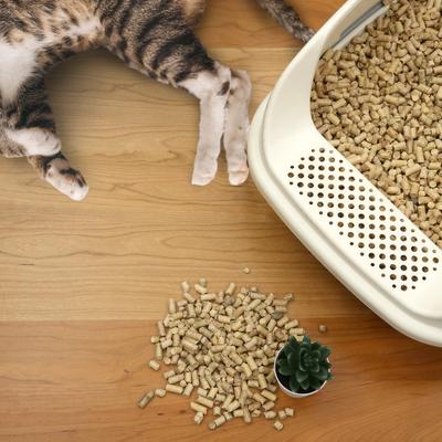 Show full view: Casual Home Natural Pine Pellet Unscented Non-Clumping Cat Litter, 20-lb bag slide 8 of 11