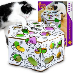 Cat Amazing HEX Interactive Cat Puzzle Feeder Toy