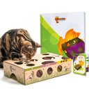 Cat Amazing Interactive Treat Maze & Puzzle Cat Toy