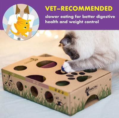 Show full view: Cat Amazing Interactive Treat Maze & Puzzle Cat Toy slide 4 of 11