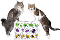 Cat Amazing Mega-Interactive Treat Maze & Puzzle Cat Toy, White slide 2 of 7
