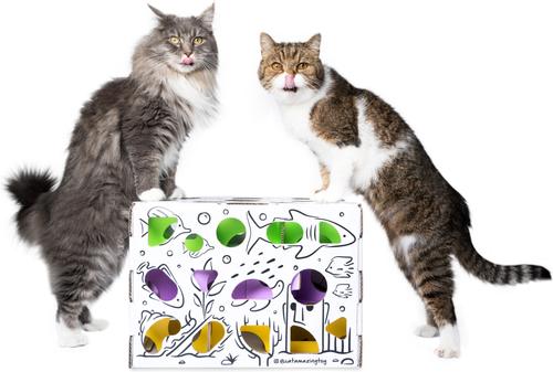 Show full view: Cat Amazing Mega-Interactive Treat Maze & Puzzle Cat Toy, White slide 6 of 10