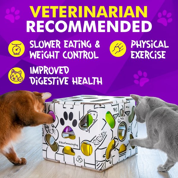 Cat Amazing Sliders Interactive Treat Maze & Puzzle Cat Toy