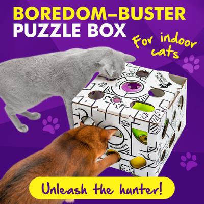 Show full view: Cat Amazing Sliders Interactive Treat Maze & Puzzle Cat Toy slide 3 of 8