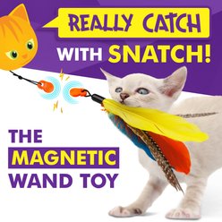 Cat Amazing Snatch Magnetic Heavy Duty Telescoping Teaser Wand Cat Toy slide 2 of 4