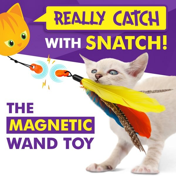 Cat Amazing Snatch Magnetic Heavy Duty Telescoping Teaser Wand Cat Toy