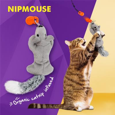Show full view: Cat Amazing Snatch Magnetic Teaser Wand Cat Toy Attachments, 5 count slide 3 of 9