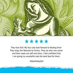 Cat Chow Naturals Indoor with Real Chicken & Turkey Dry Cat Food, 13-lb bag slide 2 of 7