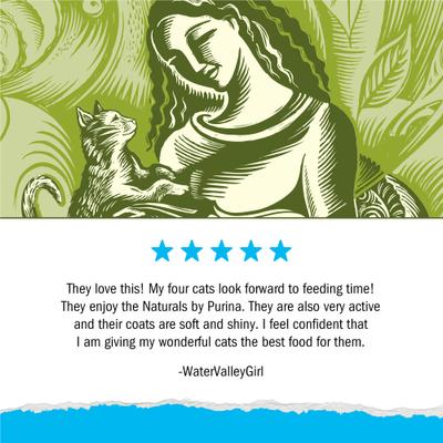 Show full view: Cat Chow Naturals Indoor with Real Chicken & Turkey Dry Cat Food, 13-lb bag slide 7 of 10