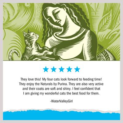 Show full view: Cat Chow Naturals Indoor with Real Chicken & Turkey Dry Cat Food, 26-lb bundle  slide 6 of 11