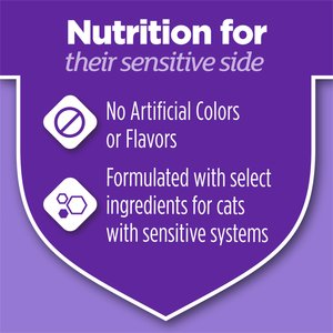 Cat Chow Sensitive Stomach Gentle Dry Cat Food, 13-lb bag