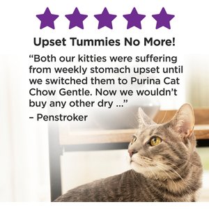 Cat Chow Sensitive Stomach Gentle Dry Cat Food, 13-lb bag