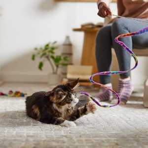 Cat Dancer Cat Charmer Toy, 2 Pack, Color Varies