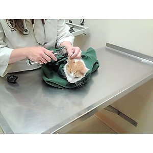 Cat-in-the-bag E-Z-Zip Cat Carrier Bag, Cobalt, Large