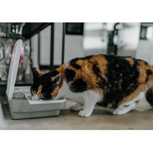 Cat Mate C200 2-Bowl Automatic Dog & Cat Feeder, 4-cup