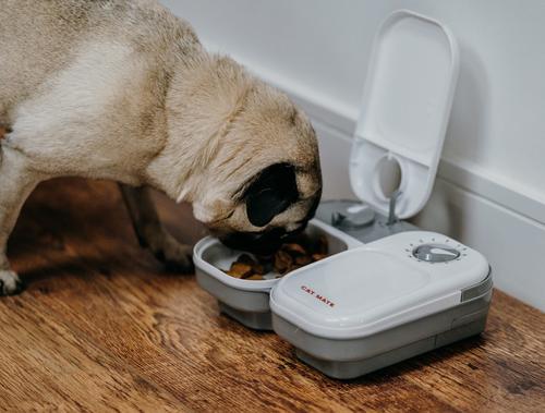 Show full view: Cat Mate C200 2-Bowl Automatic Dog & Cat Feeder, 4-cup slide 6 of 9