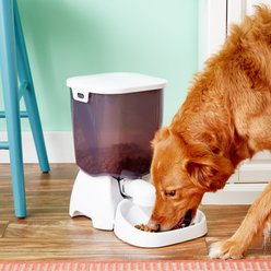 Cat Mate C3000 Automatic Dog & Cat Feeder, 26-cup slide 2 of 5