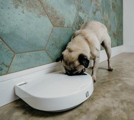 Show full view: Cat Mate C500 Digital 5 Meal Automatic Dog & Cat Feeder + C500 Auto Feeder Replacement Ice Pack, 4 count slide 5 of 10